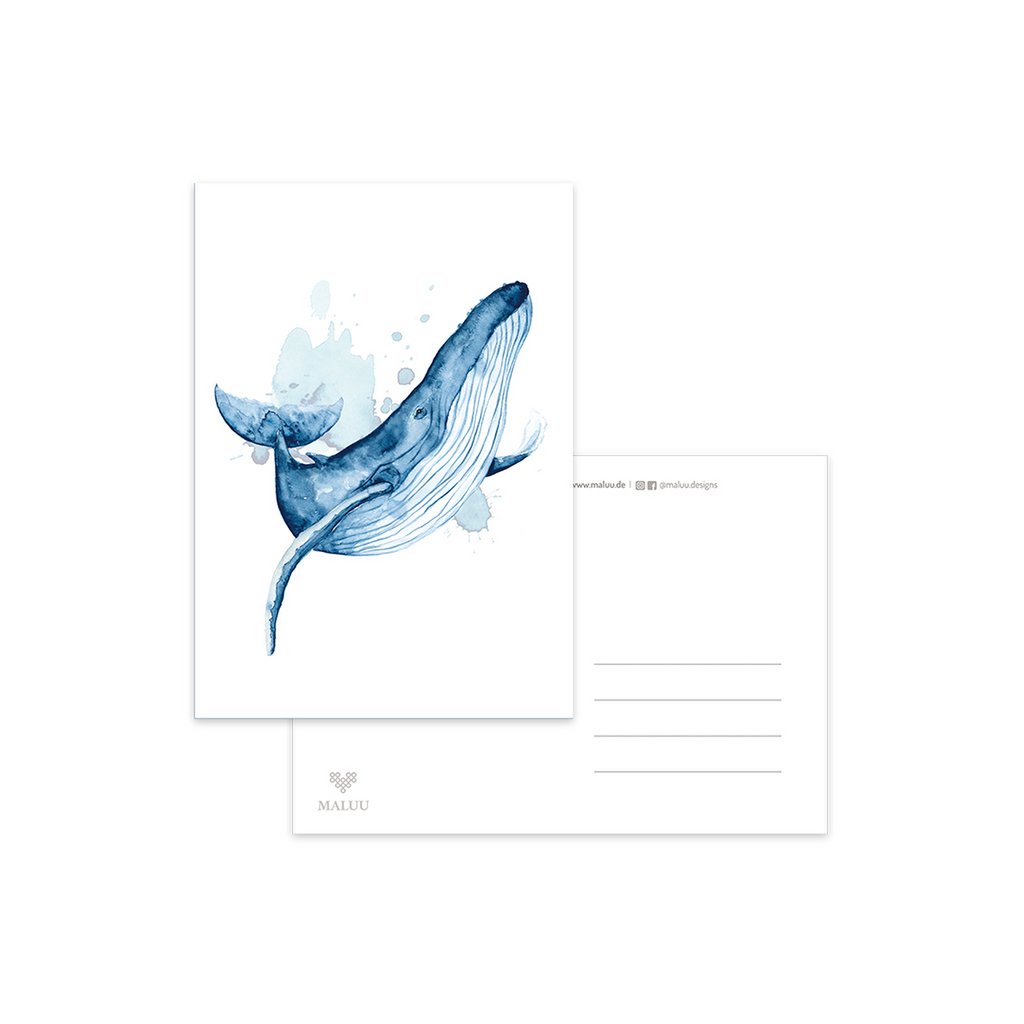 Postcard whale jump