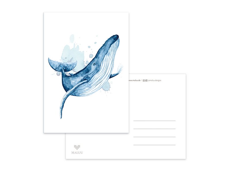 Postcard whale jump