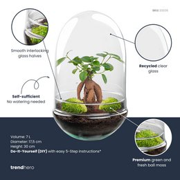 Terrarium DIY Kit - Egg XL Bonsai - Bottle Garden - ↑ 30 cm