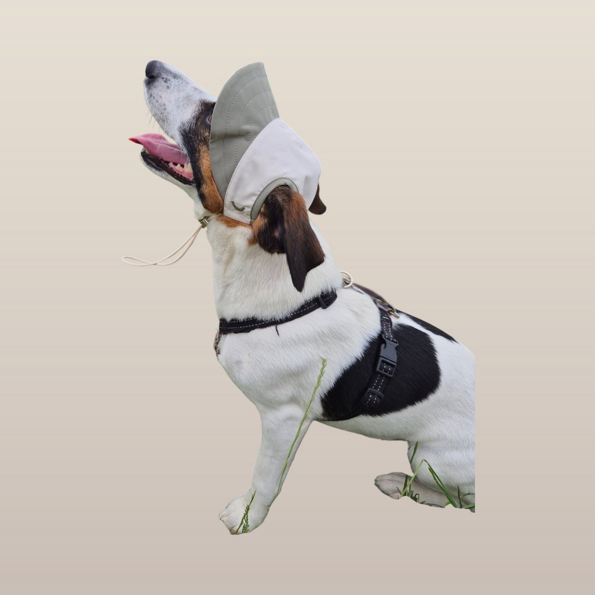 Chalky Hat - Protección contra rayos UV y lluvia para mascotas - Olive Mist