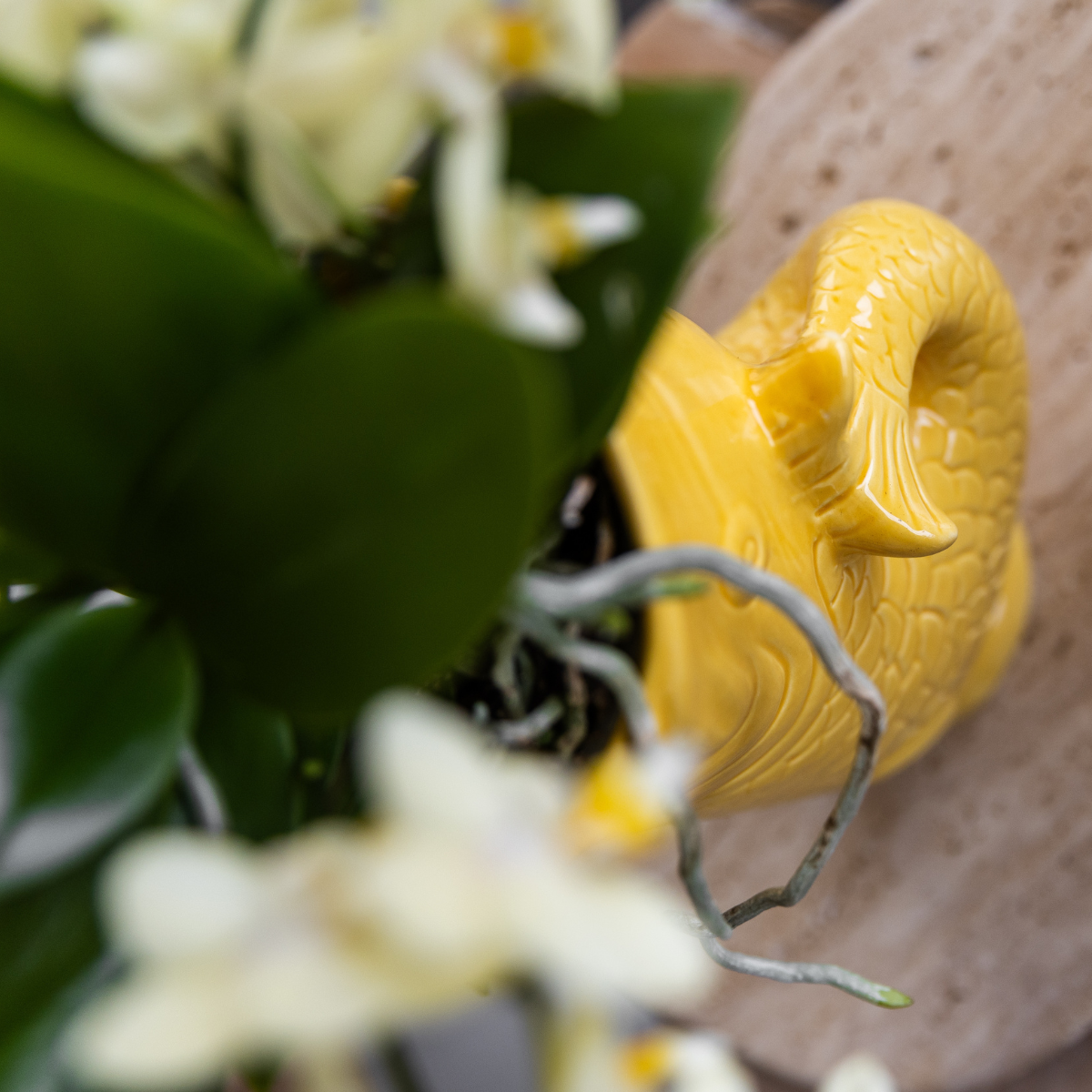 Kolibri Home | Fish - Yellow - Ø9cm
