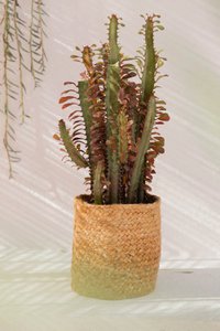 Ural jute pot covers