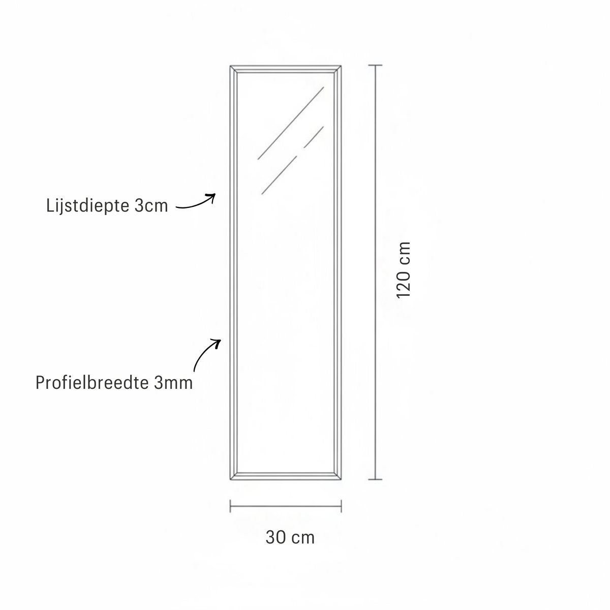 Stalen Passpiegel James Zwart 30x120 cm