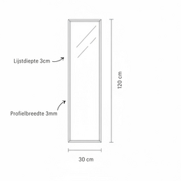 Stalen Passpiegel James Zwart 30x120 cm