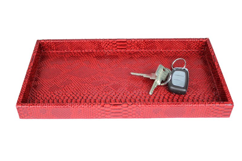 Plateau rectangulaire pour reptiles rouge