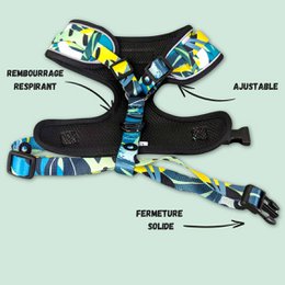 Classic Reef Harness