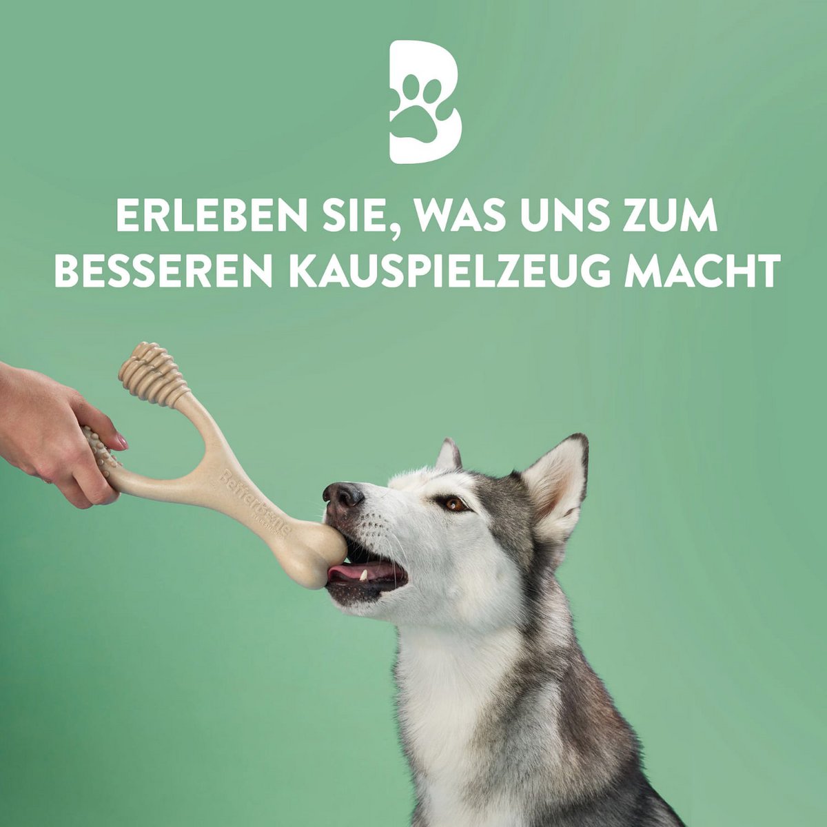 Betterbone Dogs Chewing Bones - Mini Medium Beef (zonder nylon, CO2 neutraal in Europa)