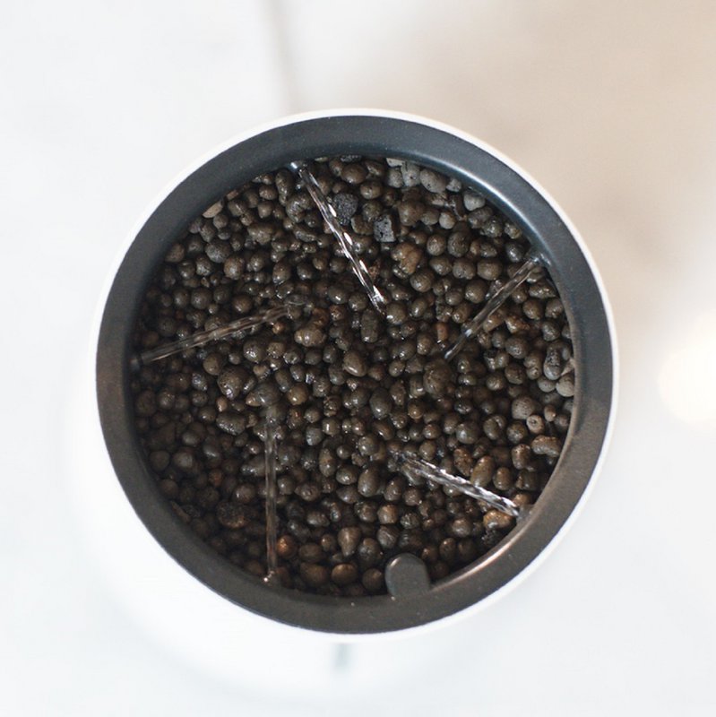 Botanium vækstmedium (12-pak)