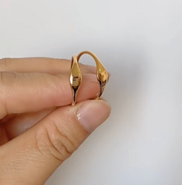 Daizy - Ungleicher Goldring