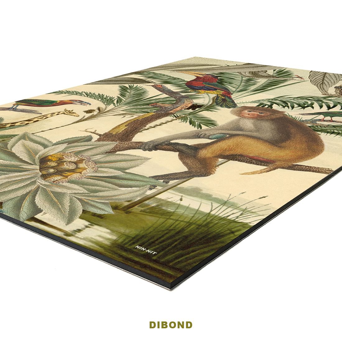 Wall Art | monkey jungle