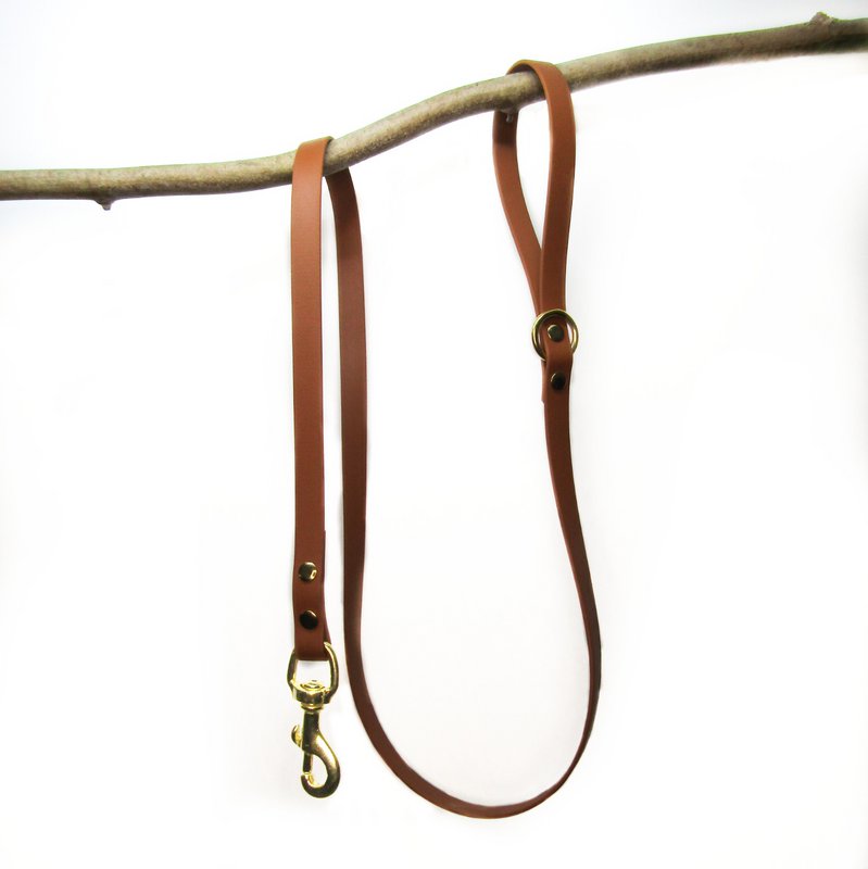 Standard dog leash