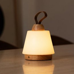 Liv Lysebrun Genopladelig Lampe