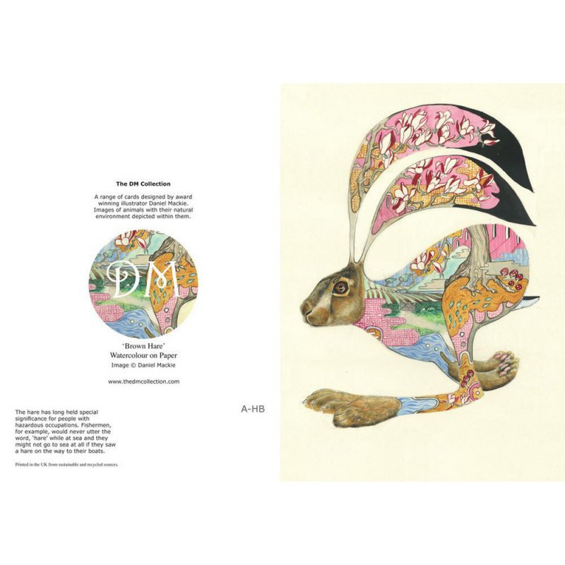 E008 - hare