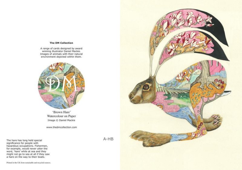 E008 - hare