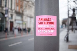 Veganistische stickers voor binnen en buiten 'Dieren lijden, kan het je iets schelen?'