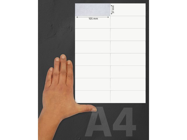 Etiqueta ILK Kangaro 105x37mm doos 100 vel 16 etiquetas por vel