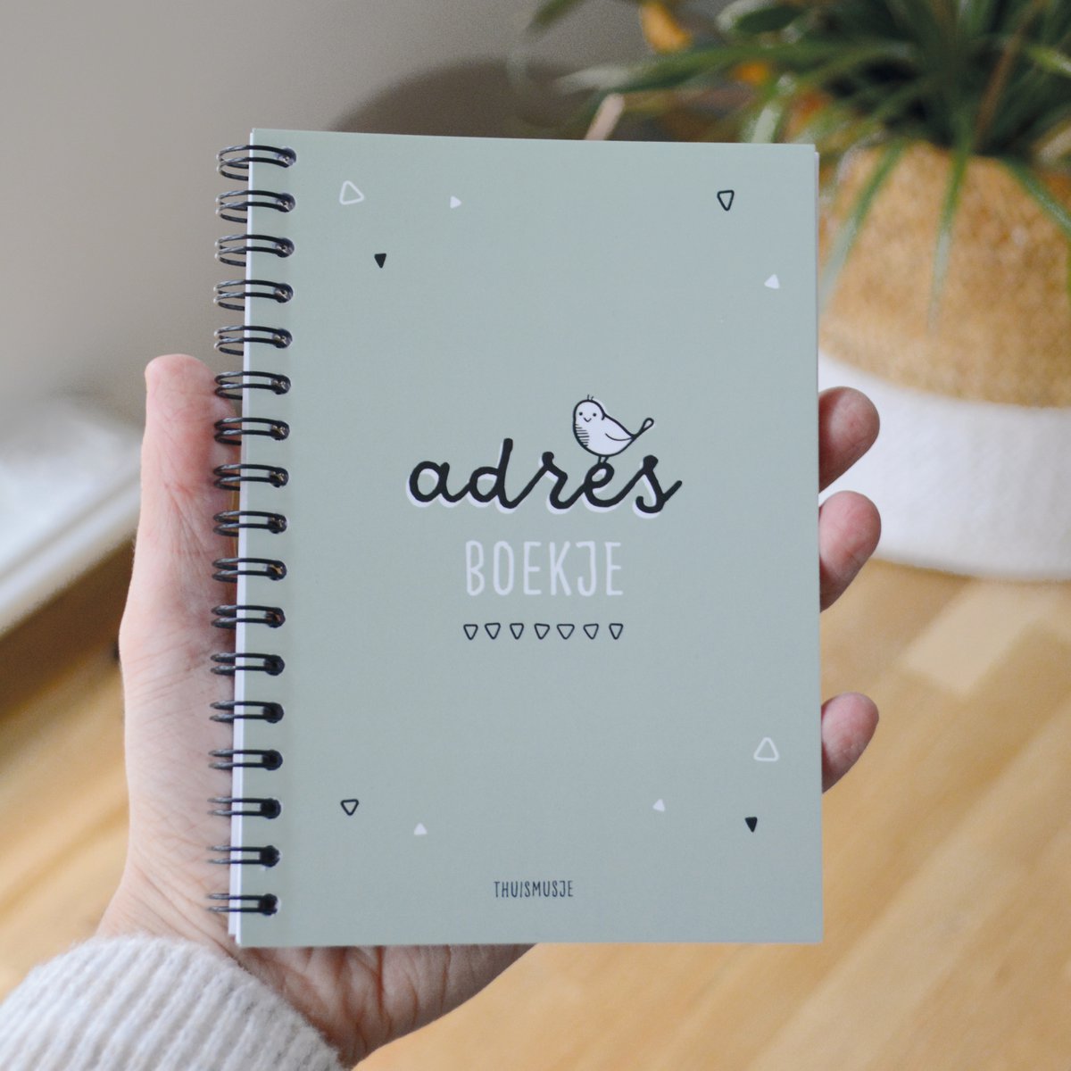 Address book | A6