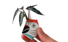 3 OriBon - Rainforest animals collection