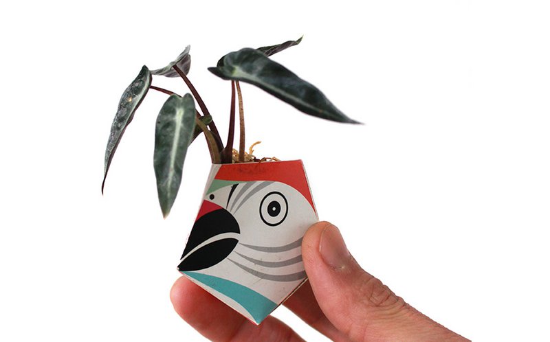 3 OriBon - Colección de animales de la selva tropical