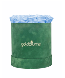 Velvet Green Collection