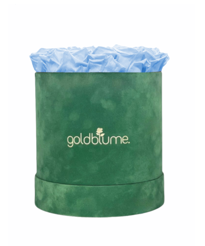 Velvet Green Collection