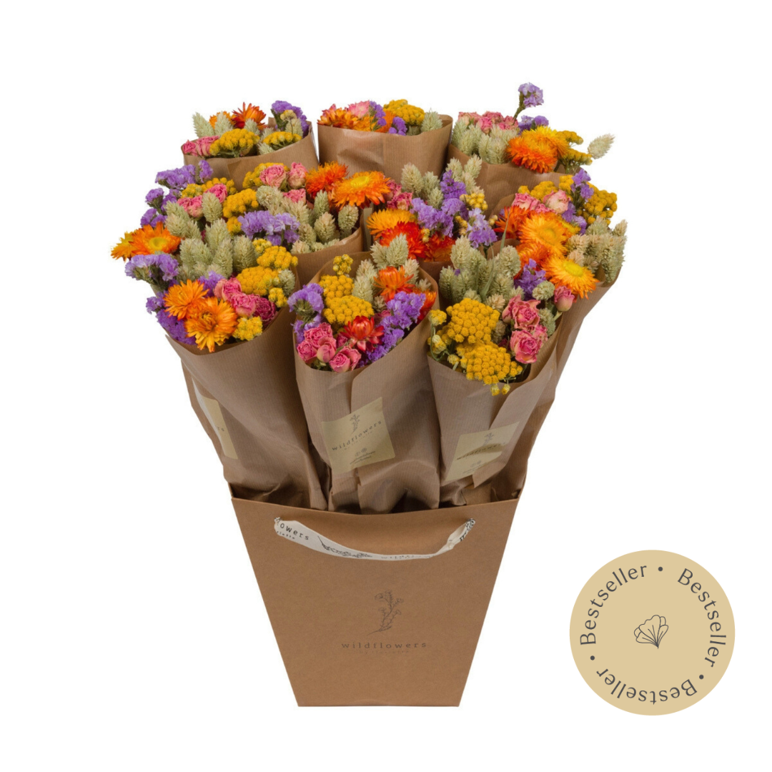 Bouquet de fleurs séchées Market More – Multi