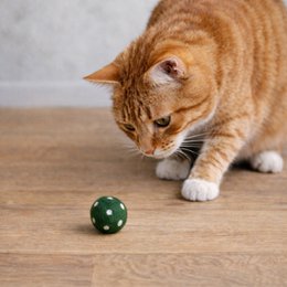 Cattoy ball green SET 3