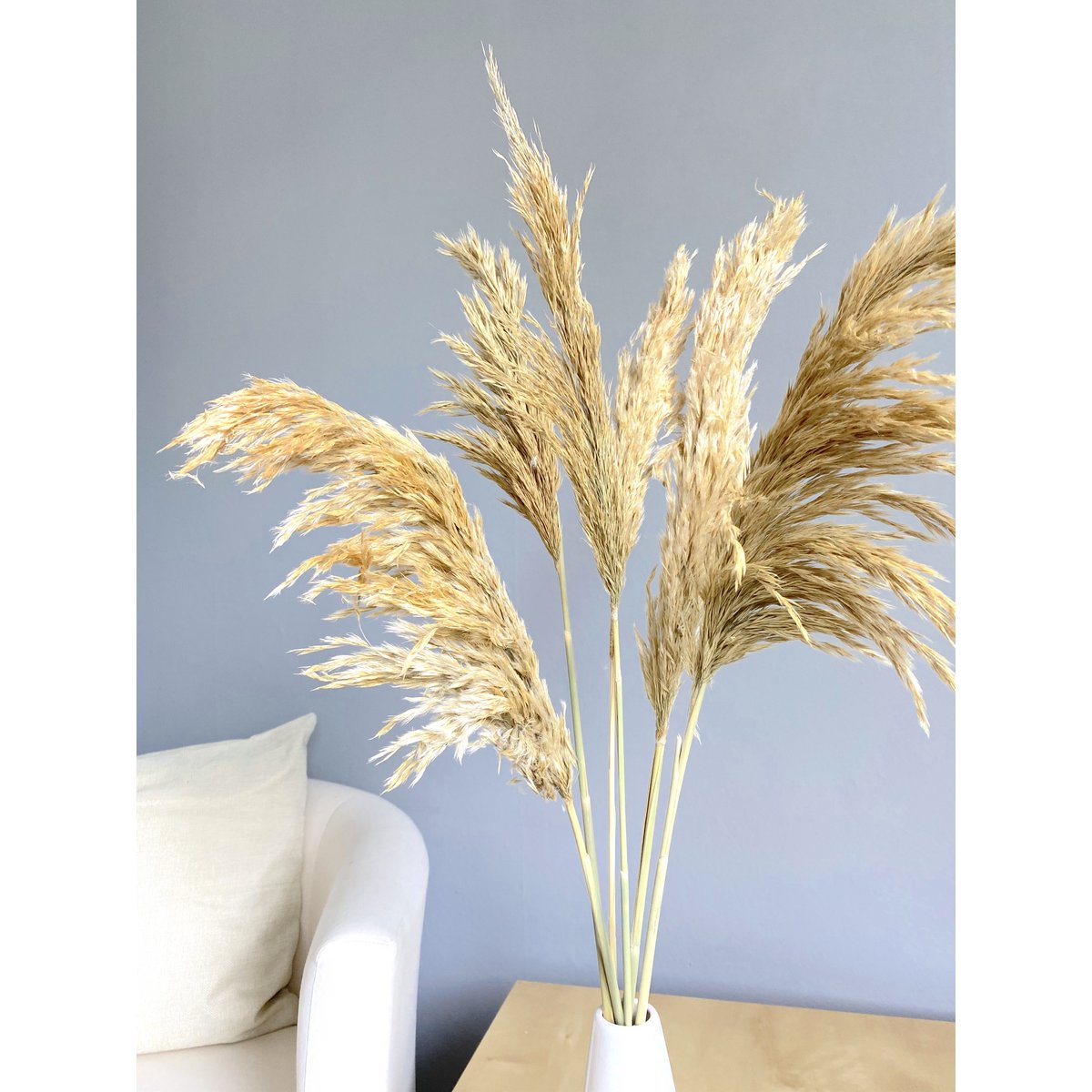 Pampas grass, 6 pieces / bunch, 70cm, beige
