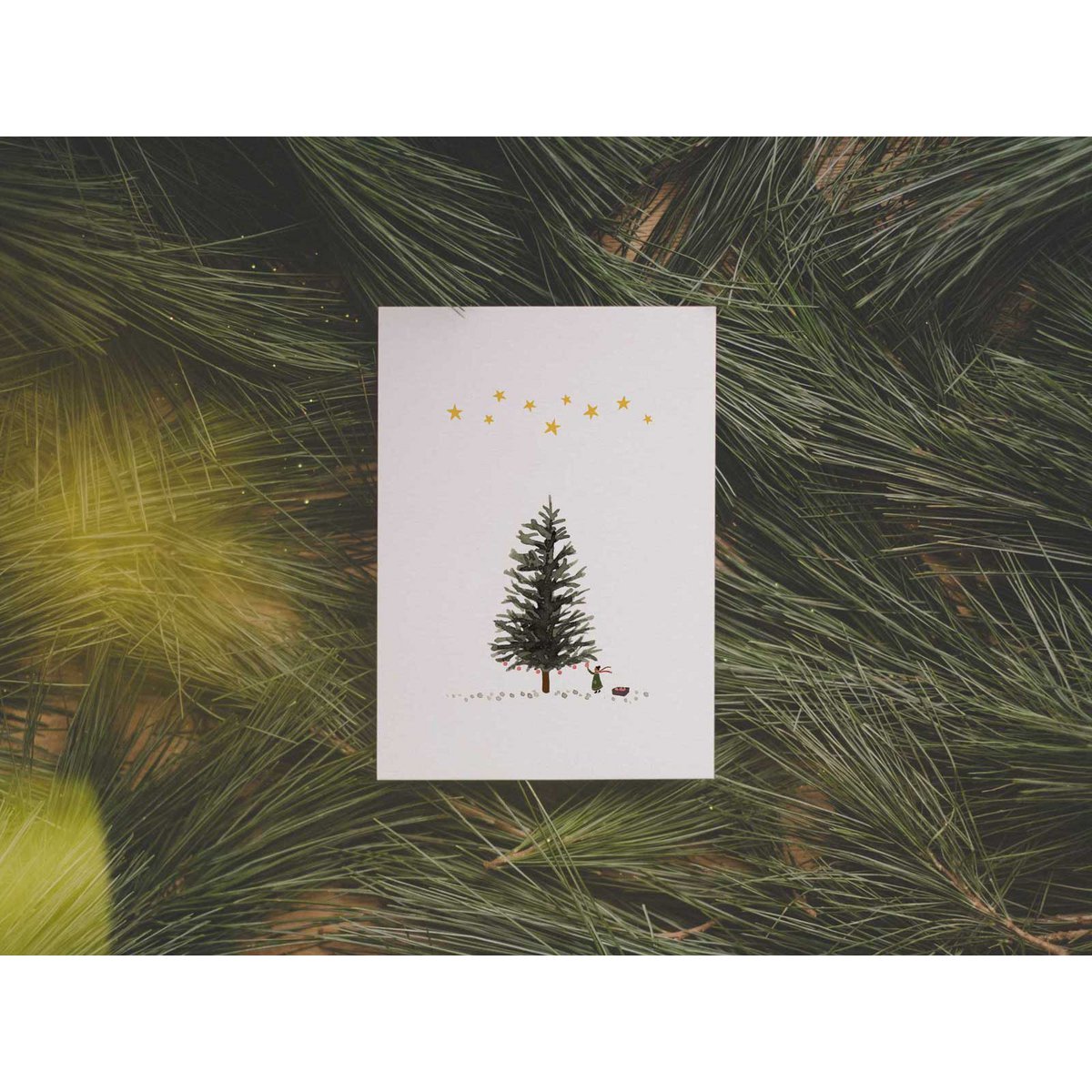 fir tree | postcard