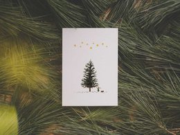 fir tree | postcard