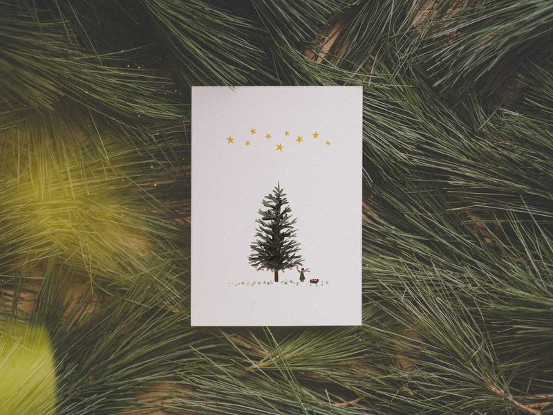 fir tree | postcard
