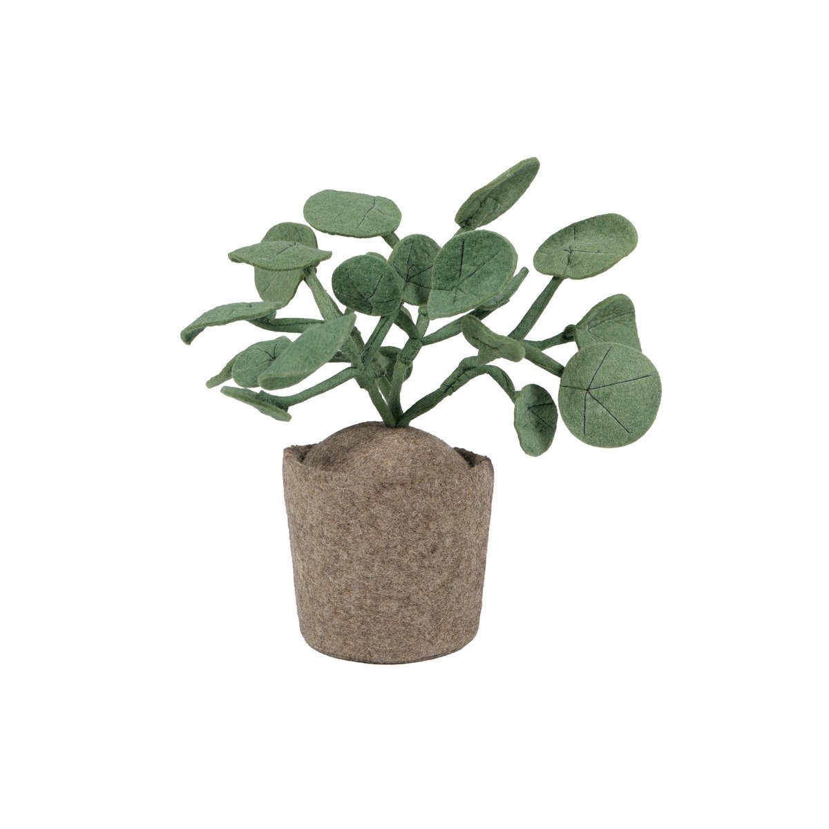 Plante de poivre