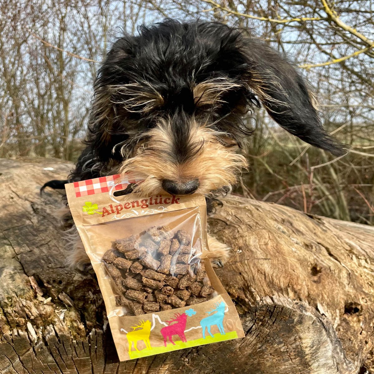 Dog snack Alpenglück Platzhirsch 60g x 15