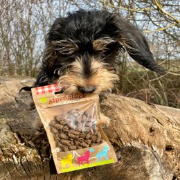 Hundesnack Alpenglück Platzhirsch 60g x 15