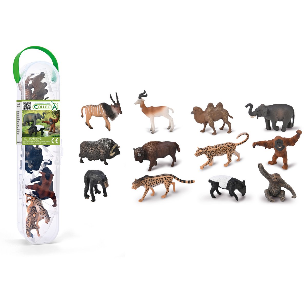 Sæt Van 12 Wilde Dieren