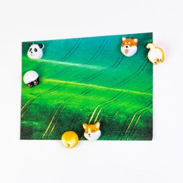 Magneti di tendenza simpatici - set di 6