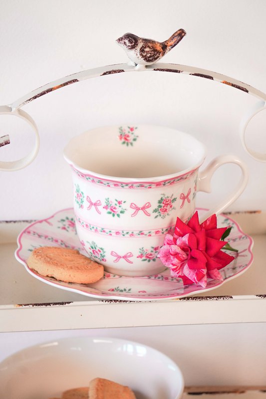 Porcelain cup & saucer Ribbon Isabelle Rose