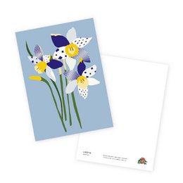 Postal - Narcisos