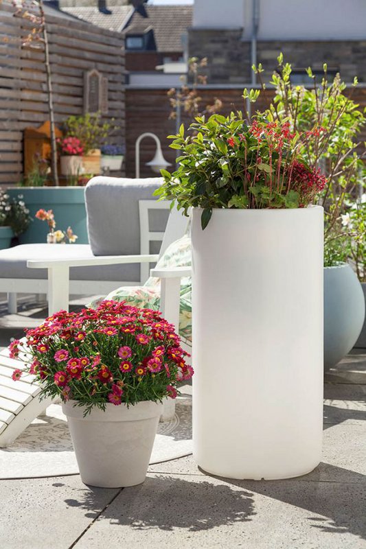 Pot élégant brillant XL