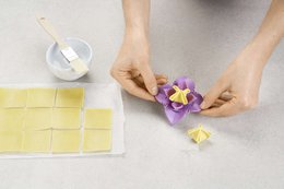 Dumpling Maker