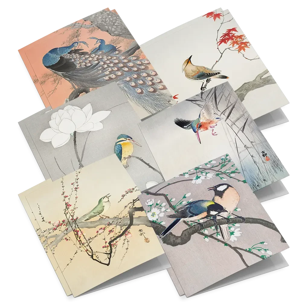 Set di biglietti d'auguri Stampe di uccelli