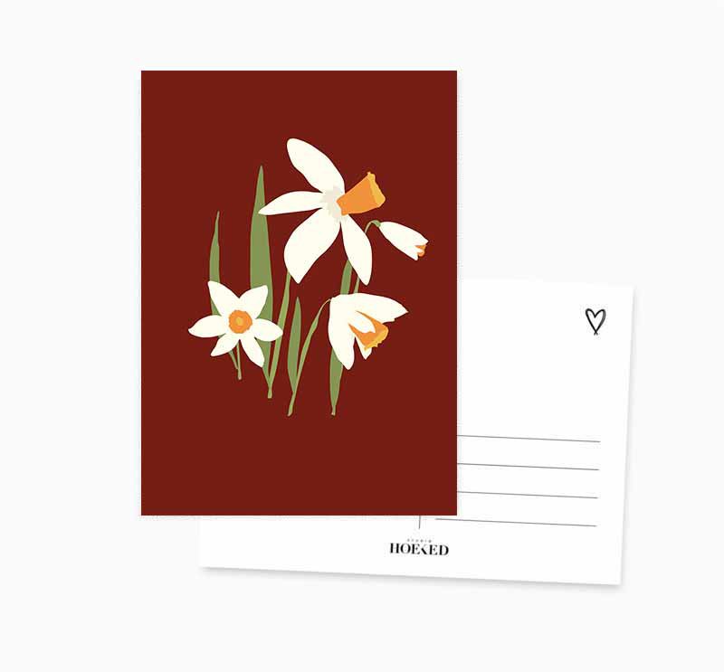 A6-Postkarte || Narzisse || Blume