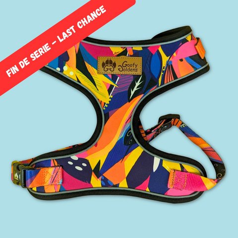 Panache Classic Geschirr