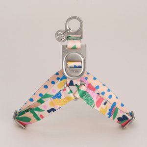 Gaston Step-In Dog Harness
