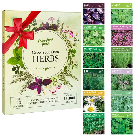 Grow Your Own Herbs Kit