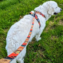 Tropical dog leash
