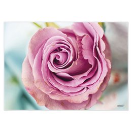 Artipics Manteles Individuales Rosa Rosa 4 Piezas Manteles Individuales Lavables De Plástico Cada 42 x 30 cm Manteles Individuales Flores Decoración De Mesa Para Cocina/Comedor/Invitados/Interior/Exterior