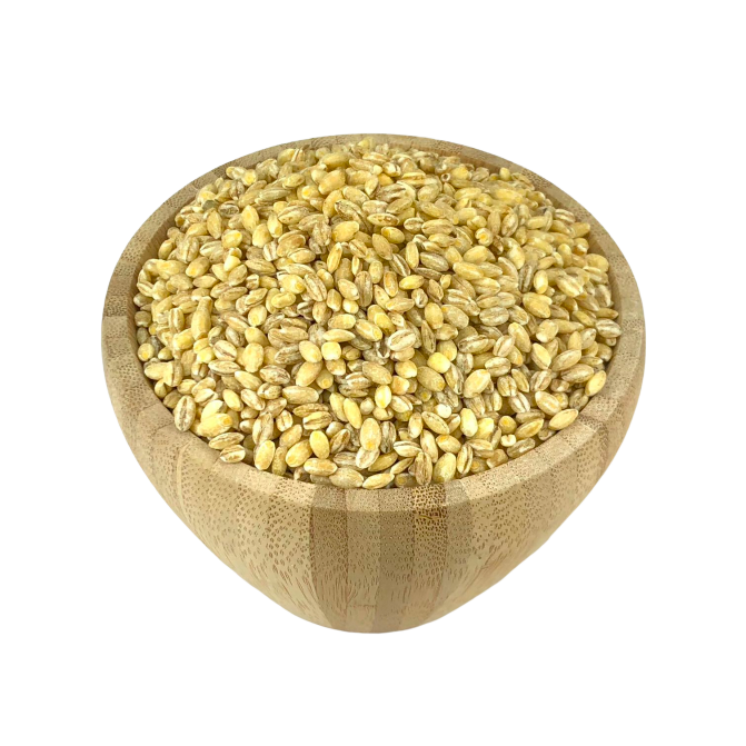 Organic Barley in Bulk