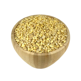 Organic Barley in Bulk
