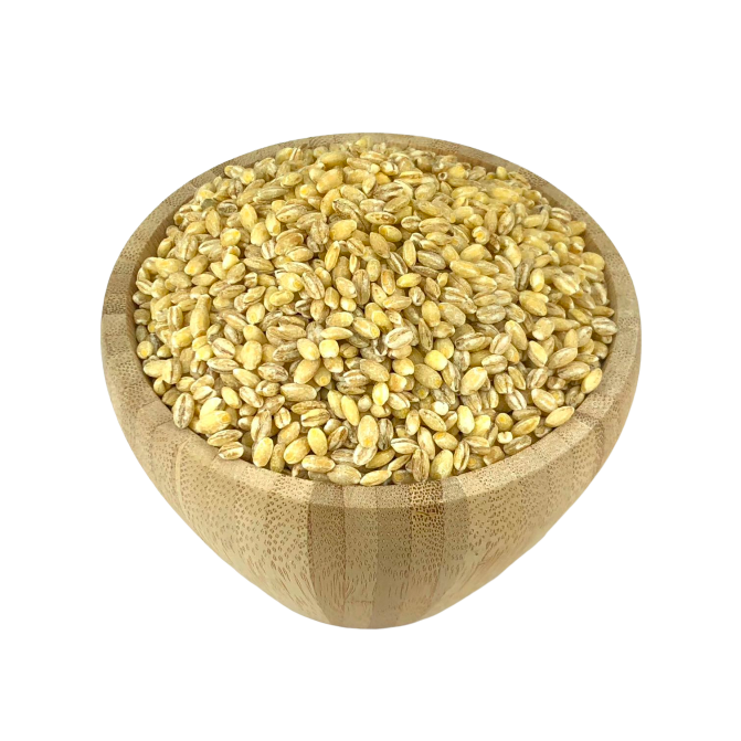 Organic Barley in Bulk